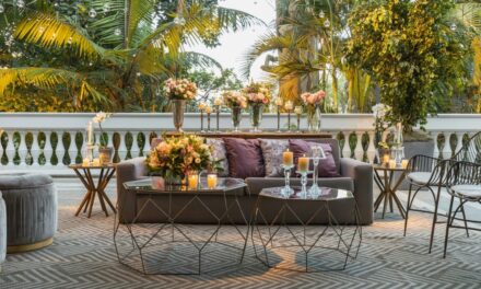 Creating a Lush Backyard Summer Bash