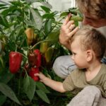 Garden Planting Schedule: A Month-by-Month Guide