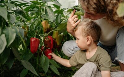 Garden Planting Schedule: A Month-by-Month Guide